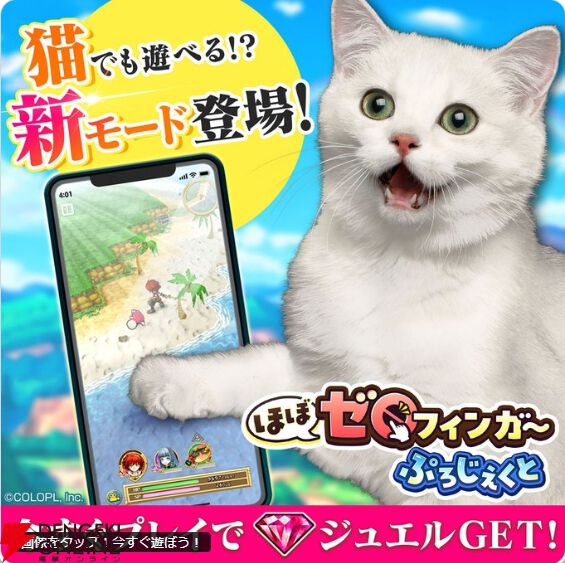 猫田係長♡ダンシングキャット　希少な白猫ちゃんととグレートラ猫ちゃん 話題の踊る猫♪猫野係長 - YouTube