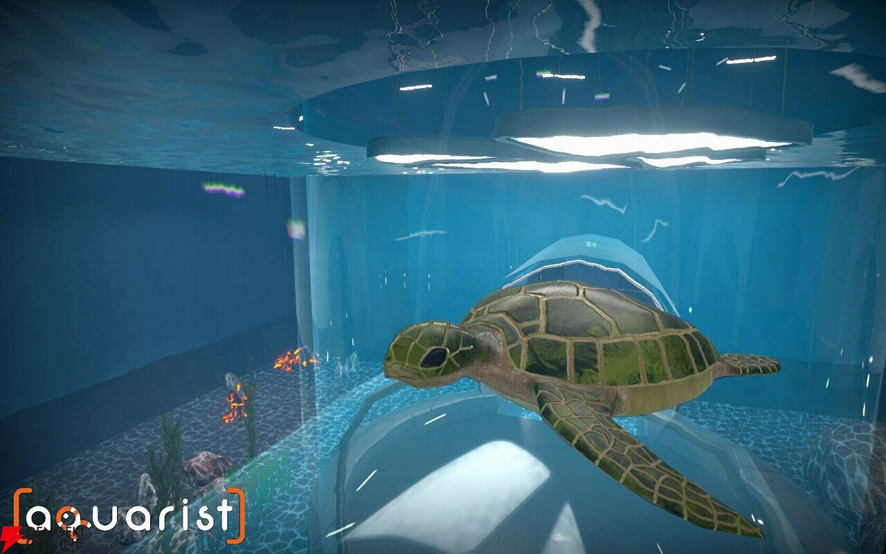 サメやウミガメを飼育して自分だけの夢のアクアリウムが作れるシミュレーション『Aquarist』を紹介【電撃インディー#634】 - 電撃オンライン