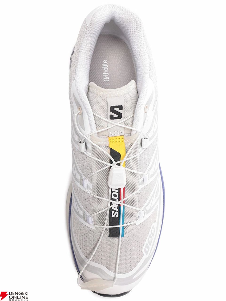 【お年玉セール特価】 フランス発のアウトドアブランド“SALOMON（サロモン）”の スキー