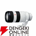 ソニーの人気デジカメαシリーズに使える大口径望遠ズームレンズが半額セールで17万円引き。開催は6/5 19：00！【楽天スーパーセール】