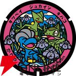 『ポケモン』愛知県に新たに設置される5つの“ポケふた”デザインが公開。名古屋城にコイキングなど地域ならではのイラスト