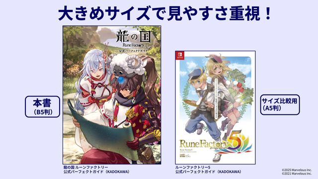 『龍の国 ルーンファクトリー』
