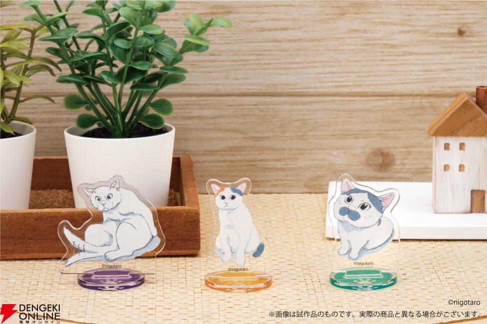 “キトラ in ロフトPOPUPSTORE”