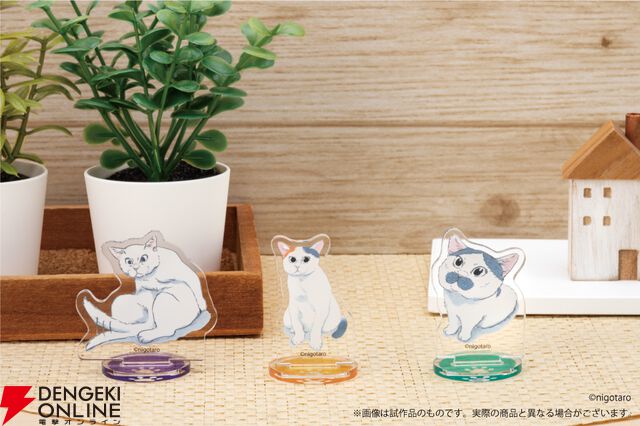“キトラ in ロフトPOPUPSTORE”