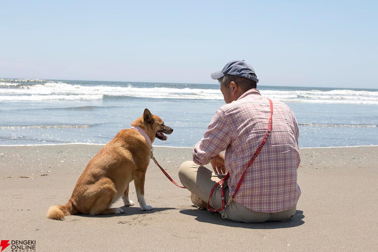 海辺の犬。トシさんとララ子の物語 海辺の犬ララ子トシさん田舎暮らしの本 犬雑貨・オーナーズグッズ