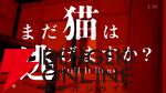 『近畿地方のある場所について』の背筋がシナリオを手がけるホラー『まだ猫は逃げますか？』のPV第1弾が公開