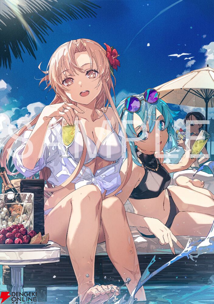 電撃ヒロインたちのちょっとオトナ（!?）な水着カットが満載な