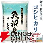 ふるさと納税は9月までがおすすめ！ 新潟県産“コシヒカリ”、宮城県産“ひとめぼれ”、北海道産“ゆめぴりか”など令和7年産の新米も含むお米の返礼品まとめ