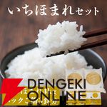 ふるさと納税は9月までがおすすめ！ 新潟県産“コシヒカリ”、宮城県産“ひとめぼれ”、北海道産“ゆめぴりか”など令和7年産の新米も含むお米の返礼品まとめ