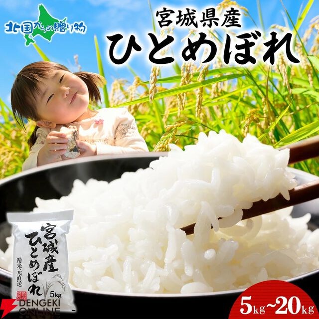 ふるさと納税は9月までがおすすめ！ 新潟県産“コシヒカリ”、宮城県産“ひとめぼれ”、北海道産“ゆめぴりか”など令和7年産の新米も含むお米の返礼品まとめ