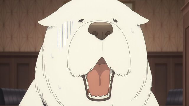 TVアニメ『SPY×FAMILY』江口拓也・種﨑敦美・早見沙織・松田健一郎インタビュー。Season 3は〈黄昏〉の過去、バスジャック以外も見どころいっぱい!?「俺たちの『SPY×FAMILY』を信じろ」