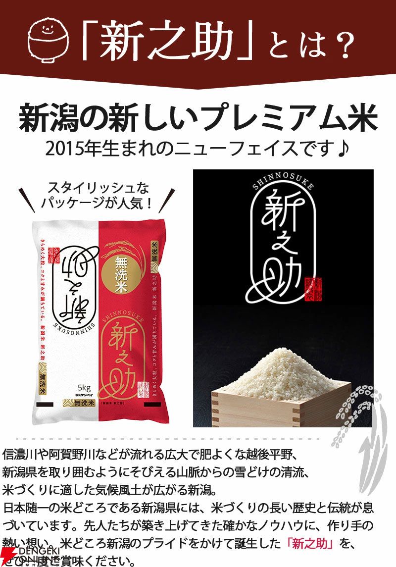 新潟令和6年産新之助（無洗米）が5kgで4,880円。豊かな甘みと