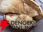 【食レポ】マックの月見バーガーはやはり王道で美味い！プリプリのたまごに肉肉しいベーコンが最高