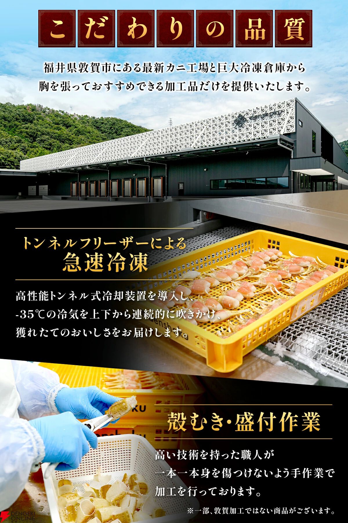 新鮮でボリューム満点の生ずわい蟹がお買い得！《3箱買ったら