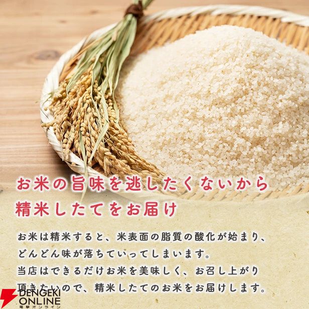 ブランド米5kg4,000円以下】令和7年産の新米『あきたこまち』が農家