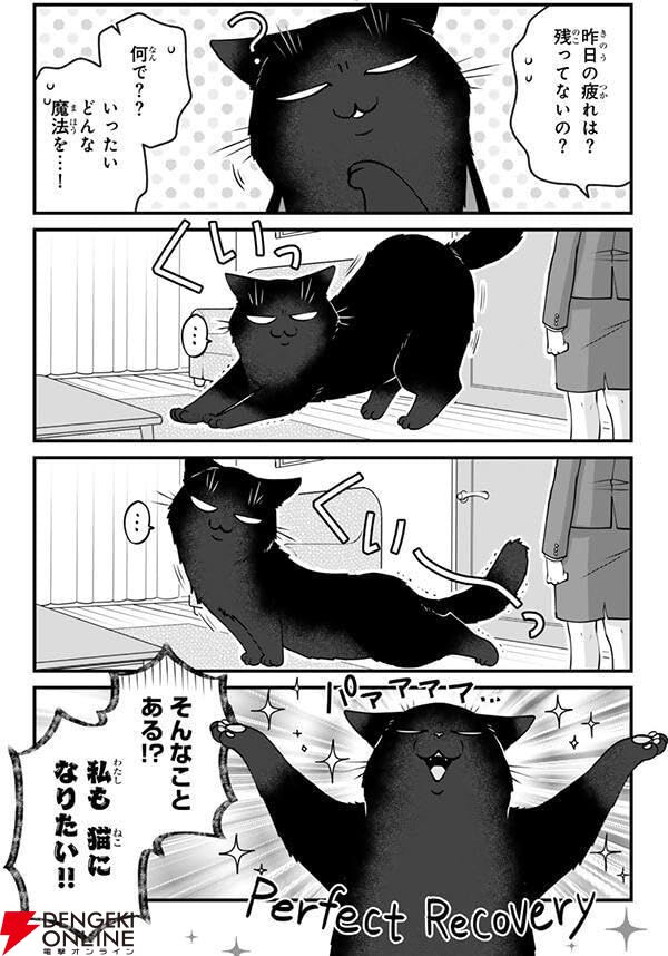 『デキる猫は今日も憂鬱』