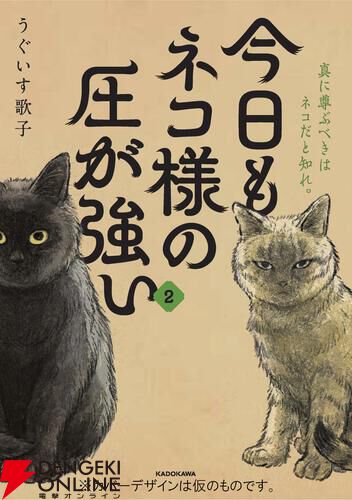 『今日もネコ様の圧が強い2』