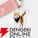 元野良猫チャチャ