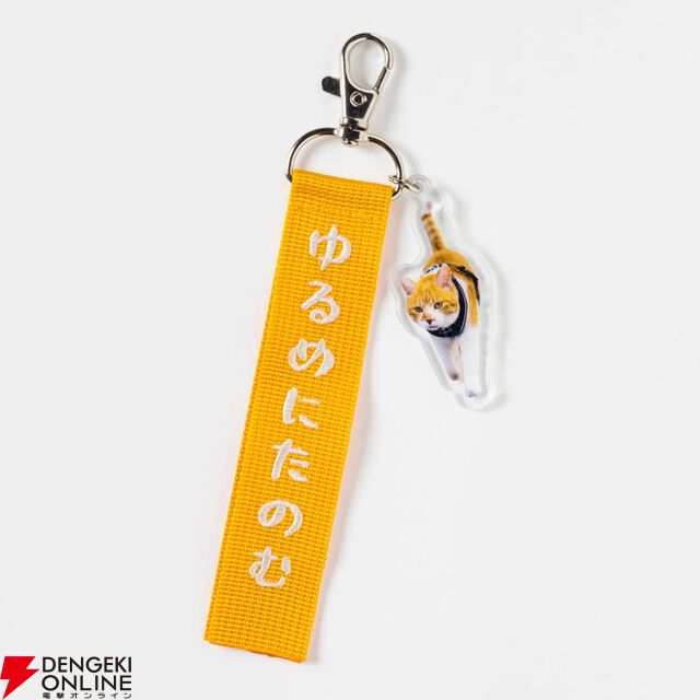 元野良猫チャチャ