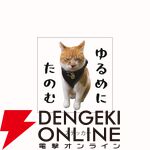 元野良猫チャチャ