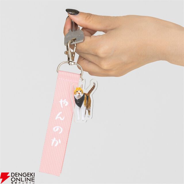 元野良猫チャチャ