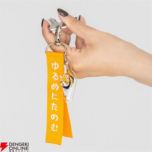 元野良猫チャチャ