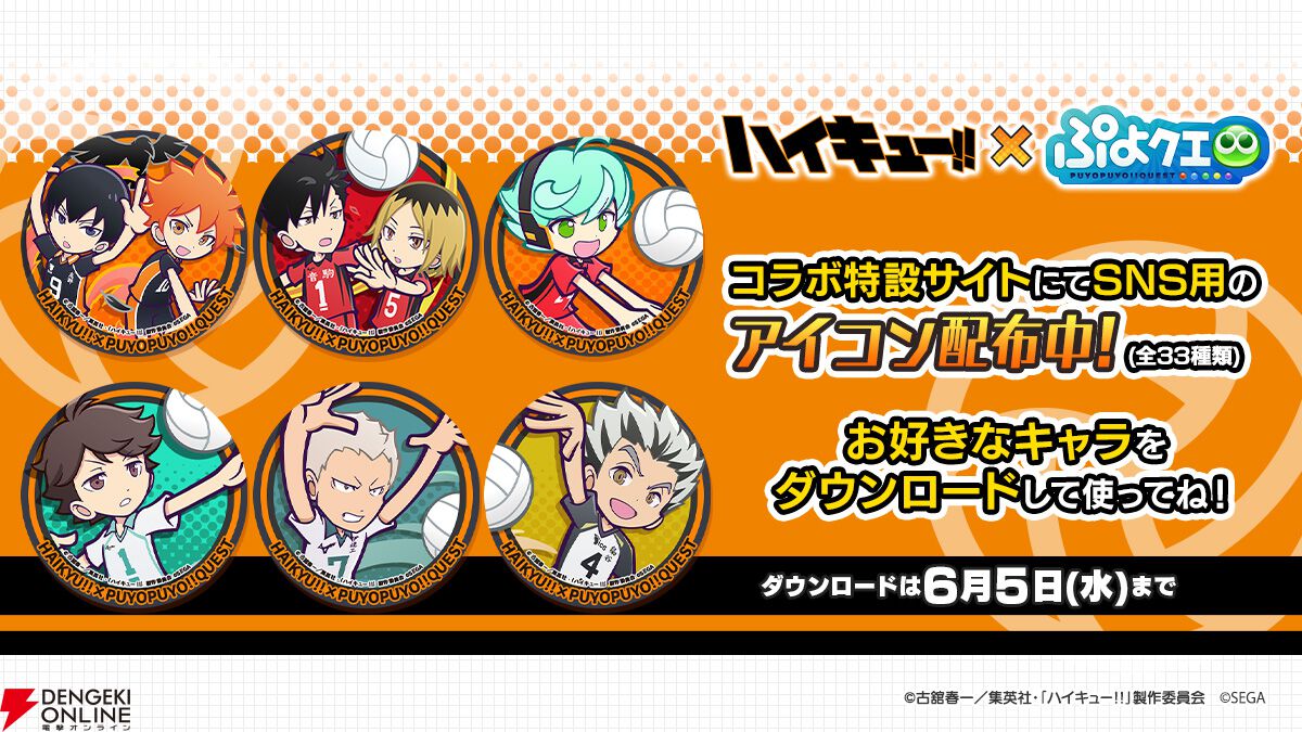 ハイキュー 日向翔陽 コラボ 公式】ハイキュー!!]日向翔陽 WEGO コラボ