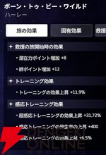 『スターセイヴァー（スタセイ）』