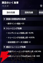 『スターセイヴァー（スタセイ）』