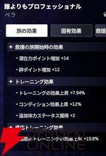 『スターセイヴァー（スタセイ）』