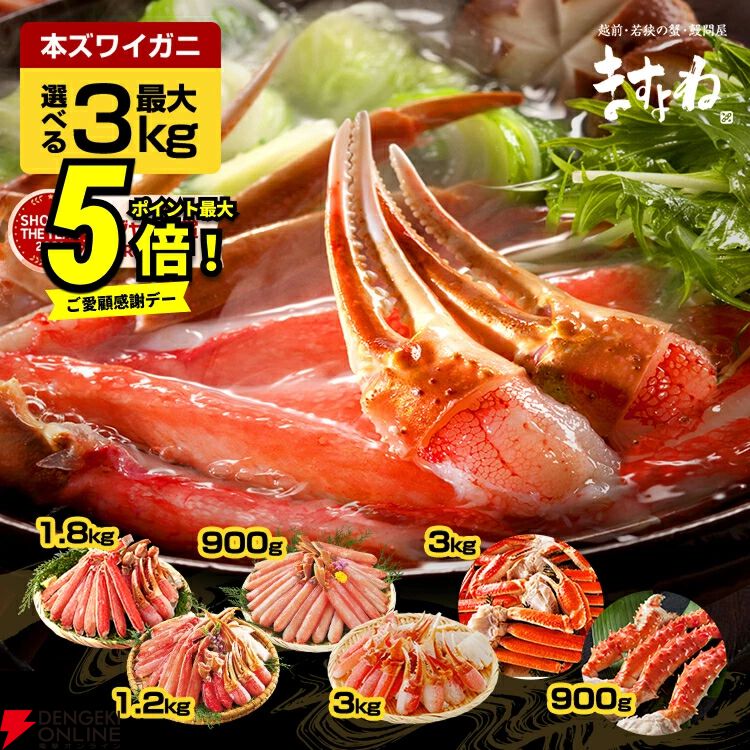 漁師～あなたへ生きたカニセット❤メガ盛 選べる《メガ盛り蟹セット》で年末年始はカニざんまい！ クーポンで