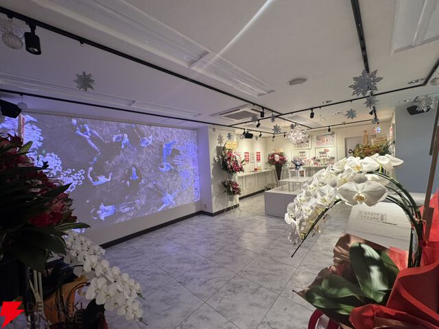 アンチョビストア池袋店