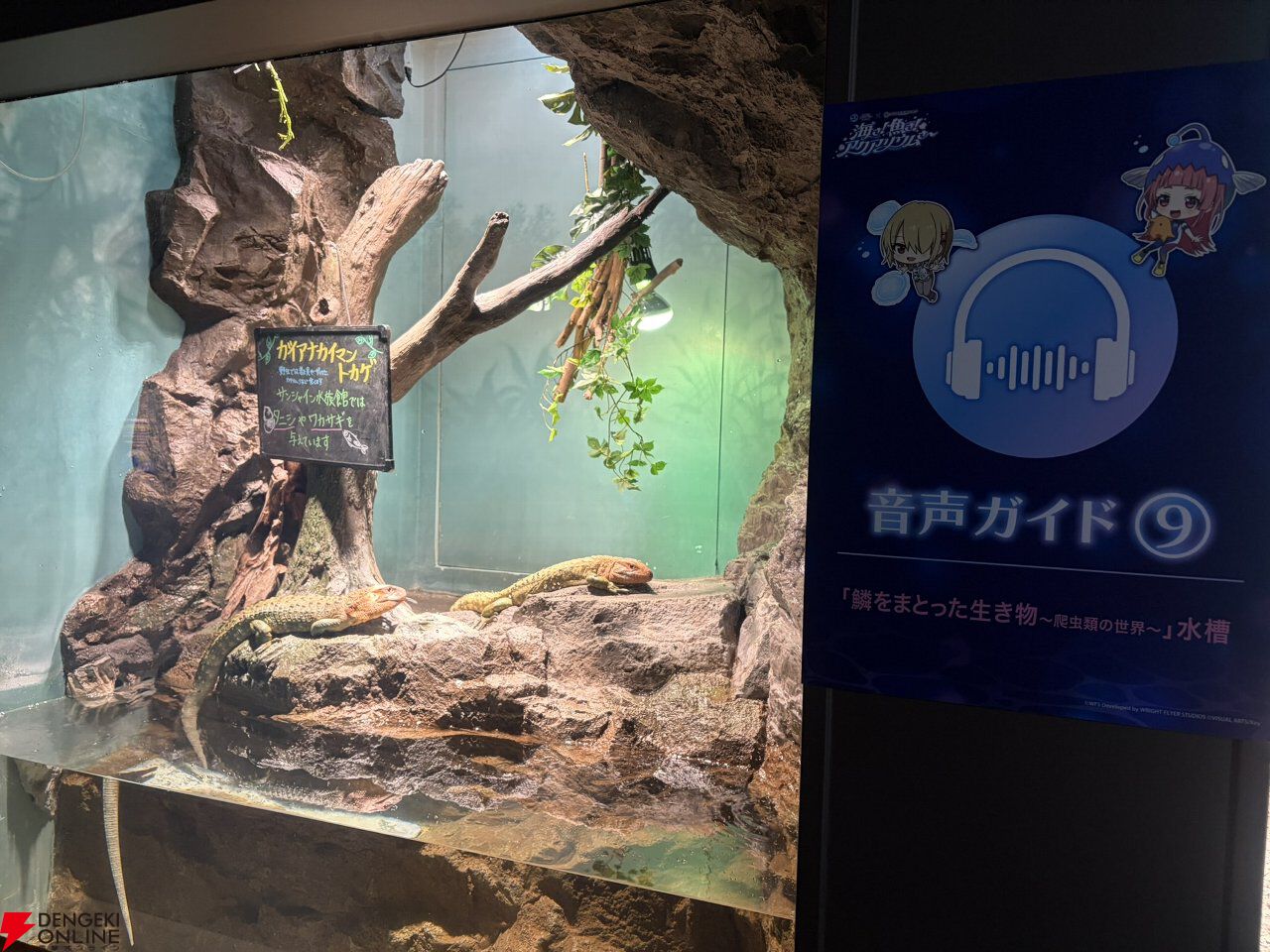 『ヘブバン』サンシャイン水族館コラボレポート。月歌＆あいなの音声ガイドで魅力的な展示をさらに楽しめること間違いなし。グッズ売り場にも遊び満載【日記#242】
