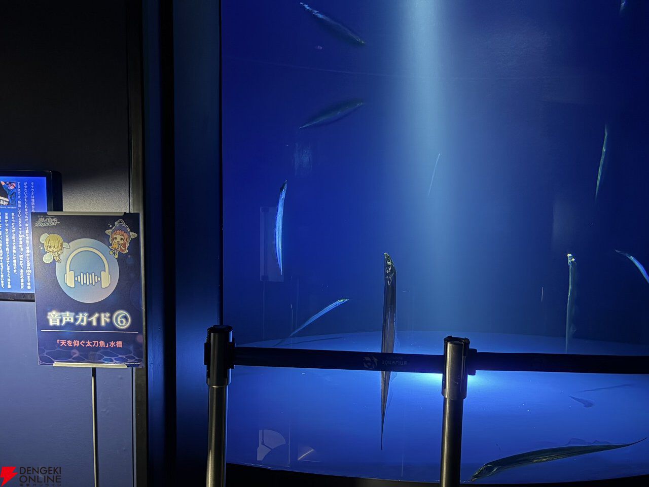 『ヘブバン』サンシャイン水族館コラボレポート。月歌＆あいなの音声ガイドで魅力的な展示をさらに楽しめること間違いなし。グッズ売り場にも遊び満載【日記#242】