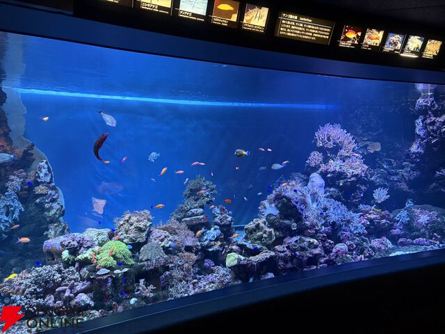 『ヘブバン』サンシャイン水族館コラボレポート。月歌＆あいなの音声ガイドで魅力的な展示をさらに楽しめること間違いなし。グッズ売り場にも遊び満載【日記#242】