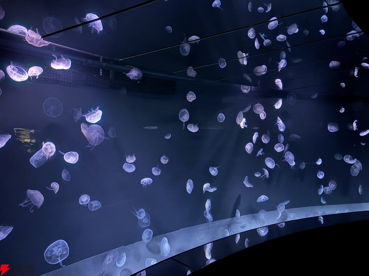 『ヘブバン』サンシャイン水族館コラボレポート。月歌＆あいなの音声ガイドで魅力的な展示をさらに楽しめること間違いなし。グッズ売り場にも遊び満載【日記#242】