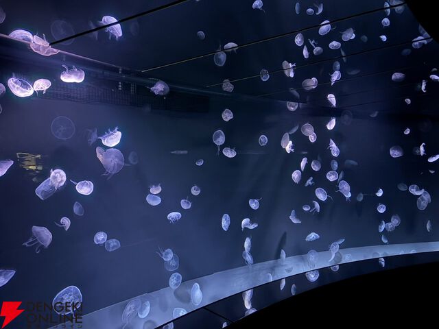 『ヘブバン』サンシャイン水族館コラボレポート。月歌＆あいなの音声ガイドで魅力的な展示をさらに楽しめること間違いなし。グッズ売り場にも遊び満載【日記#242】