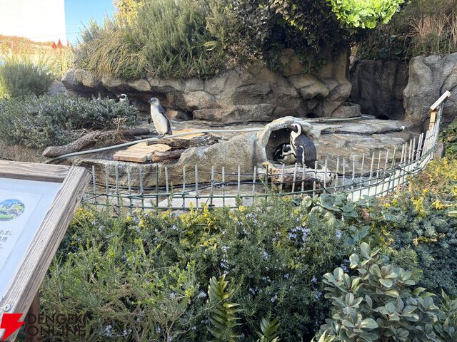 『ヘブバン』サンシャイン水族館コラボレポート。月歌＆あいなの音声ガイドで魅力的な展示をさらに楽しめること間違いなし。グッズ売り場にも遊び満載【日記#242】