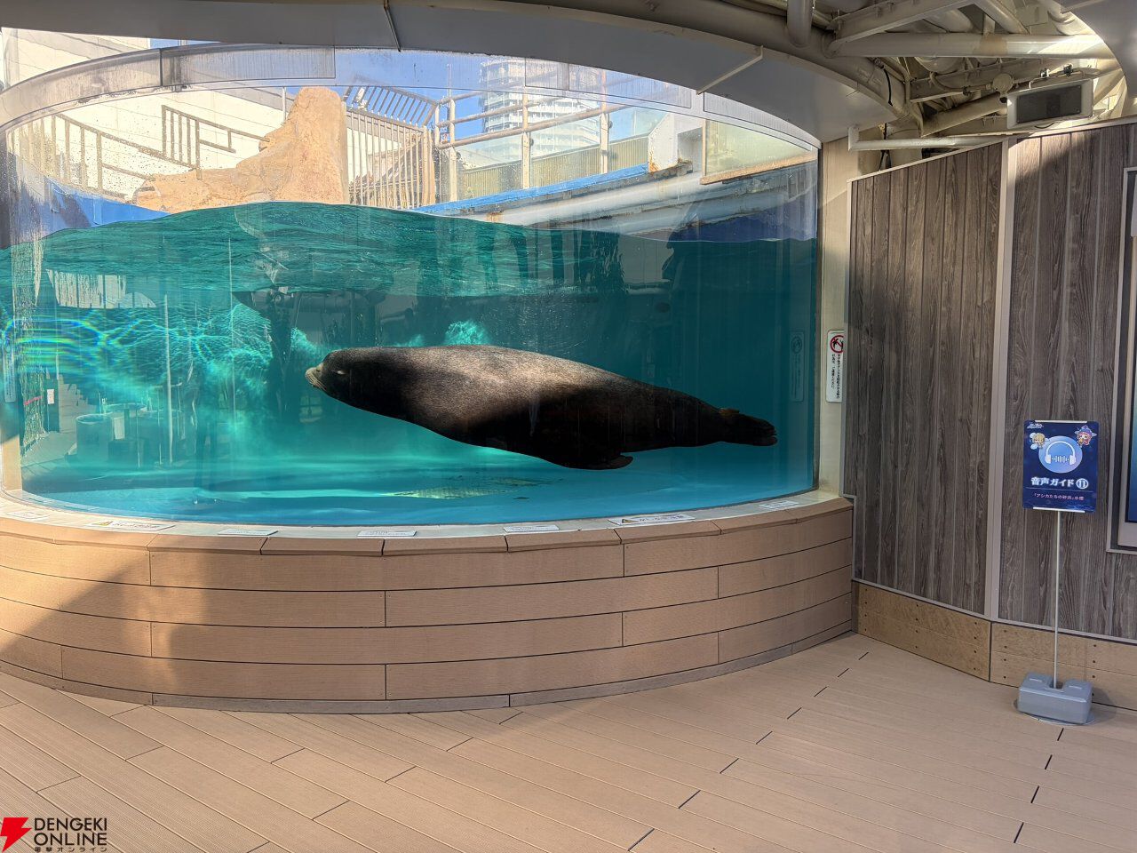 『ヘブバン』サンシャイン水族館コラボレポート。月歌＆あいなの音声ガイドで魅力的な展示をさらに楽しめること間違いなし。グッズ売り場にも遊び満載【日記#242】