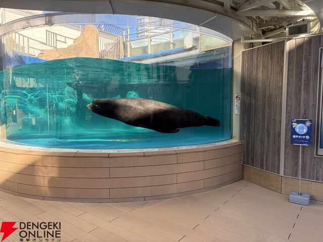 『ヘブバン』サンシャイン水族館コラボレポート。月歌＆あいなの音声ガイドで魅力的な展示をさらに楽しめること間違いなし。グッズ売り場にも遊び満載【日記#242】