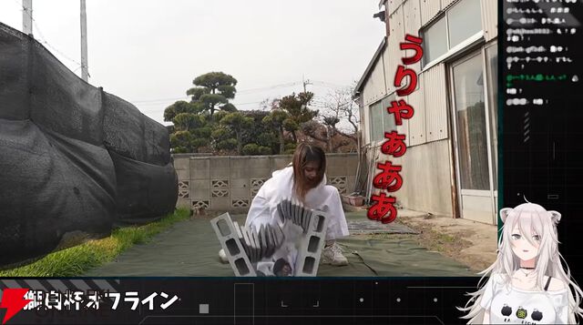 【ホロライブ】獅白ぼたんさん主催の『スト6』イベント“獅白杯オフライン”の公募トーナメント参加メンバー決定！