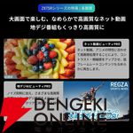 55インチ大型4K液晶テレビ『REGZA（レグザ）55Z875R』