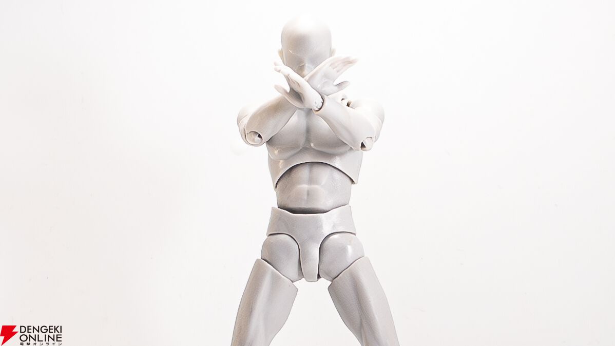 レビュー】S.H.Figuarts（真骨彫製法） 仮面ライダーアギト