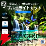 『Philips 43型チューナーレステレビ』