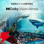 『Philips 43型チューナーレステレビ』