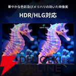 『Philips 43型チューナーレステレビ』