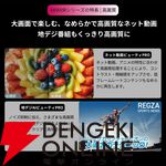 『TVS REGZA 55V型 4K有機ELテレビ X8900R』