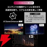 『TVS REGZA 55V型 4K有機ELテレビ X8900R』