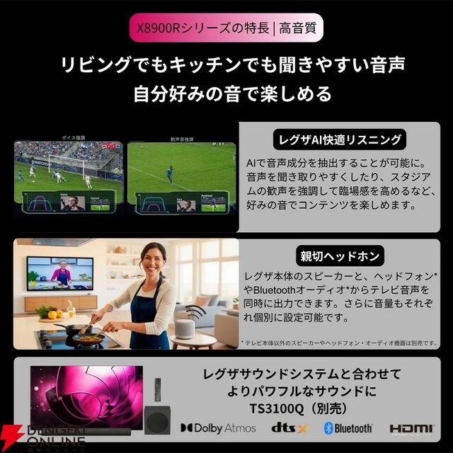 『TVS REGZA 55V型 4K有機ELテレビ X8900R』