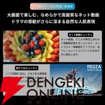 TVS REGZA 55V型 4K液晶テレビ『55Z770R』